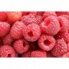 National Gardens Raspberry Fruit Seeds