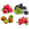 National Gardens Fruit Seeds Combo - Blackberry, Raspberry, Cranberry, Kiwi Fruit Seeds