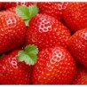 National Gardens Plump Red Strawberry Seeds