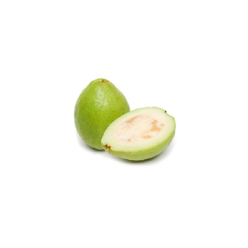 National Gardens Giant Indian Guava Seeds