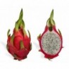 National Gardens White Dragon Fruit Seeds