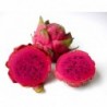 National Gardens Purple Dragon Fruit Seeds