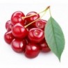 National Gardens Sweet Cherry Fruit Seeds