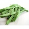 National Gardens Flat Bean Seeds