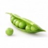 National Gardens Green Pea Seeds