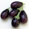 National Gardens Indian Brinjal Seeds