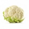 National Gardens Indian Cauliflower Seeds