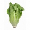 National Gardens Romaine Lettuce Seeds