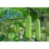 National Gardens Bottle Gourd Seeds