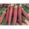 National Gardens Exotic Red Ladies Finger Seeds (Red Okra)