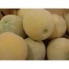 National Gardens Muskmelon Seeds