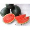 National Gardens Little Beauty Watermelon Seeds