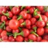 National Gardens Red Cherry Hots Pepper Seeds