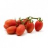 Red Italian Roma Tomato Seeds