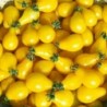 National Gardens Yellow Pear Cherry Tomato Seeds