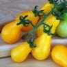 Yellow Pear Cherry Tomato Seeds