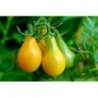 Yellow Pear Cherry Tomato Seeds