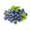 National Gardens Blueberry Fruit Seeds (Pack of 10 Seeds)