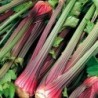 National Gardens Giant Red Celery Vegetable Seeds