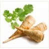 National Gardens Parsnip White Root Vegetable Seeds