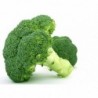 National Gardens De Cicco Broccoli Vegetable Seeds