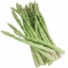 National Gardens Asparagus Uc72 Vegetable Seeds