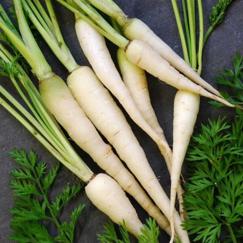 National Gardens Lunar White Carrot Vegetable Seeds