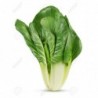 National Gardens White Swiss Chard Vegetable Seeds