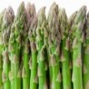 National Gardens Mary Washington Asparagus Vegetable Seeds