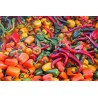 Pepper Seeds Combo - 6 Types - 100+ Seeds